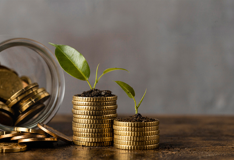 Section 8 Microfinance